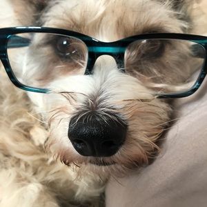 Meet your Posher, Marcie